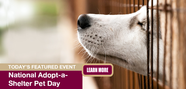 No Image found . This Image is about the event Adopt a Shelter Pet Day: April 30. Click on the event name to see the event detail.